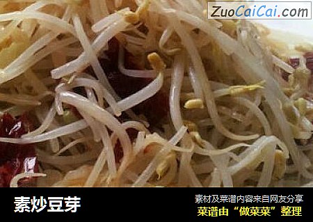 素炒豆芽