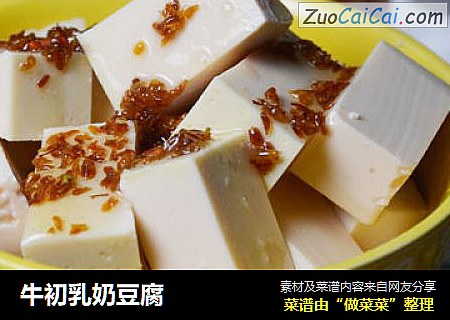 牛初乳奶豆腐
