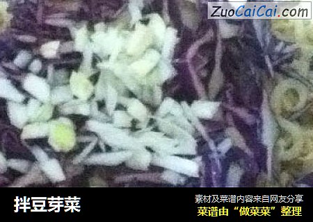 拌豆芽菜 