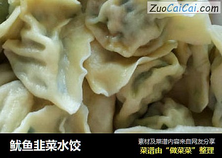 鱿鱼韭菜水饺