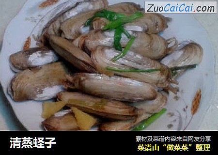 清蒸蛏子