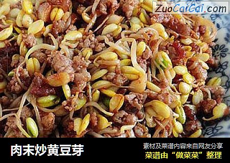 肉末炒黄豆芽