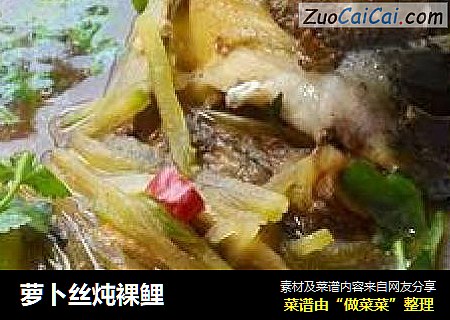 萝卜丝炖裸鲤