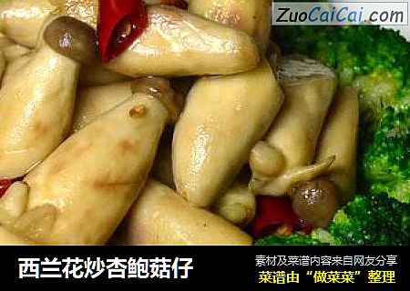 西兰花炒杏鲍菇仔
