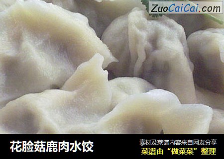花脸菇鹿肉水饺
