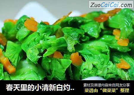 春天里的小清新白灼儿菜