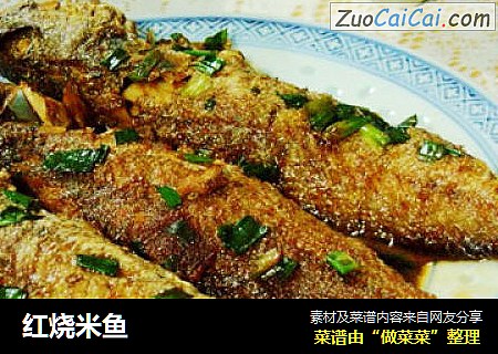 红烧米鱼