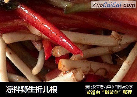 凉拌野生折儿根