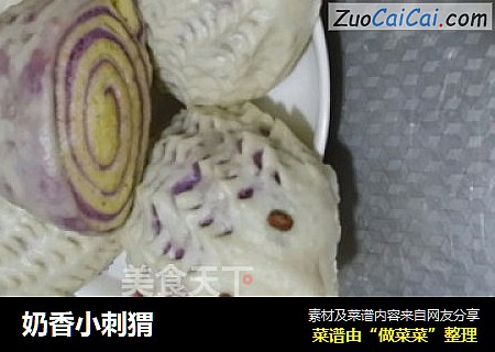 奶香小刺猬