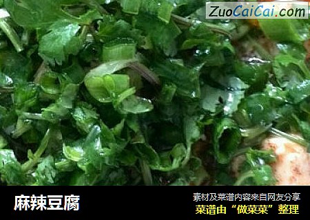麻辣豆腐