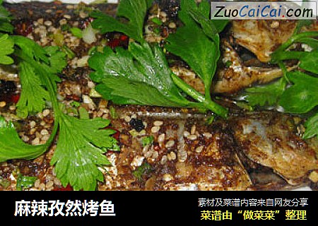 麻辣孜然烤鱼