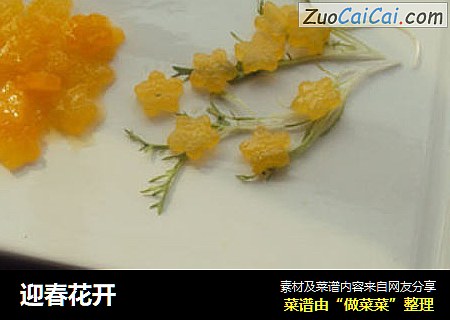 迎春花开