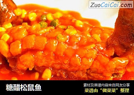糖醋松鼠鱼