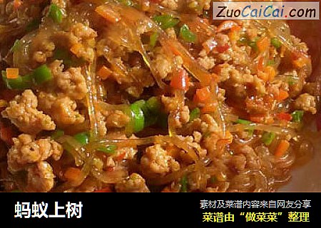 蚂蚁上树