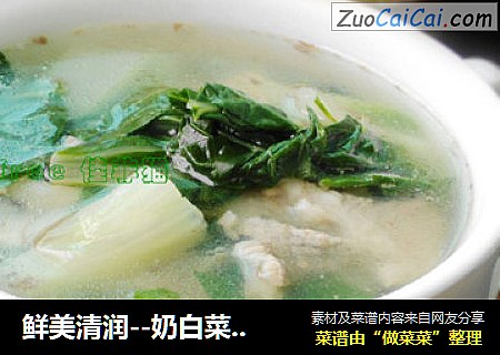 鲜美清润--奶白菜筒骨汤