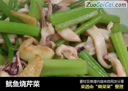 鱿鱼烧芹菜