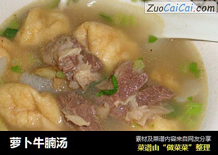 萝卜牛腩汤