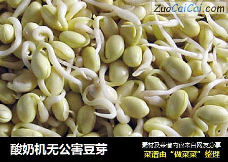 酸奶机无公害豆芽