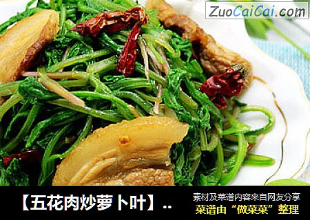 【五花肉炒萝卜叶】---春天里不要扔要的绿色健康美味