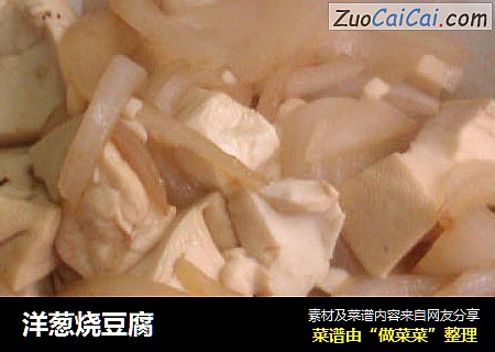 洋葱烧豆腐