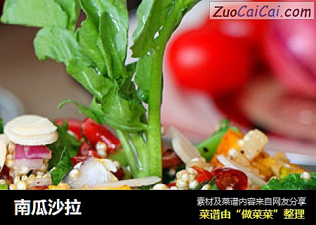 南瓜沙拉