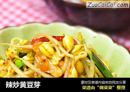 辣炒黄豆芽