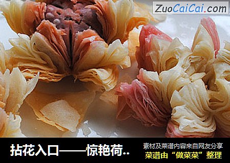拈花入口——惊艳荷花酥