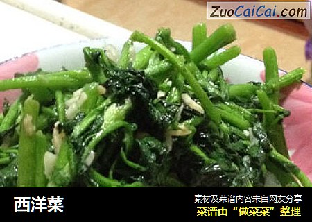 西洋菜