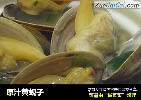原汁黄蚬子