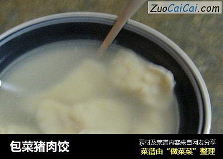 包菜猪肉饺