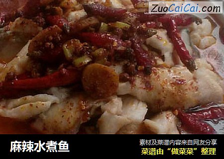 麻辣水煮鱼
