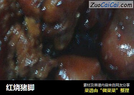 红烧猪脚