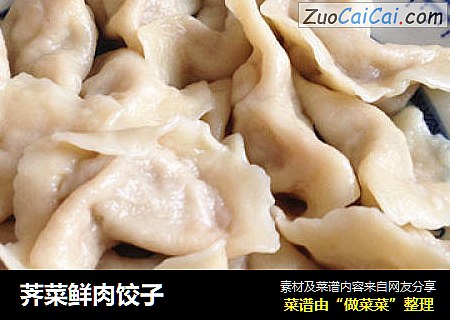 荠菜鲜肉饺子