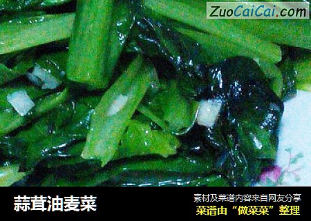 蒜茸油麦菜