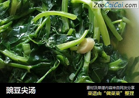 豌豆尖汤