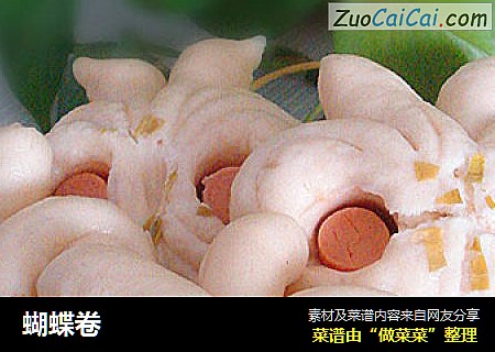 蝴蝶卷