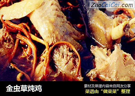 金虫草炖鸡