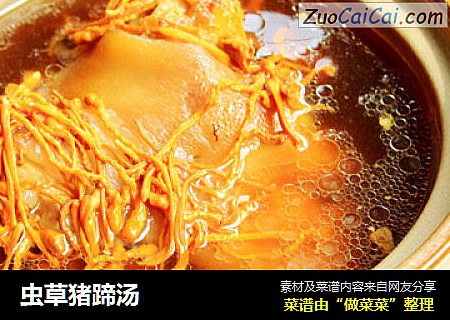 虫草猪蹄汤