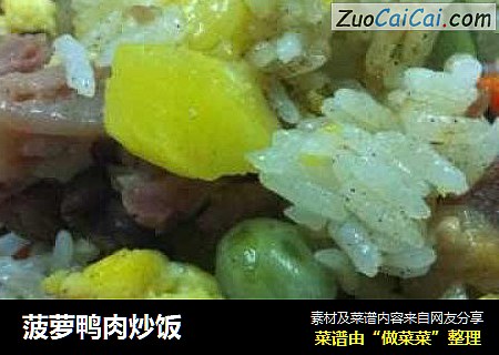 菠萝鸭肉炒饭