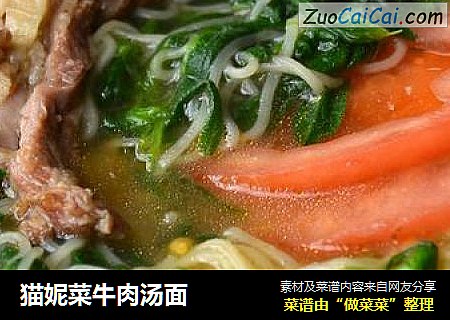 猫妮菜牛肉汤面