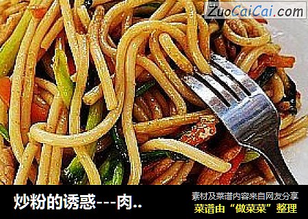 炒粉的诱惑－肉丝炒桂粉