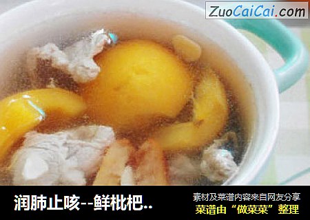 润肺止咳--鲜枇杷蜜枣瘦肉汤