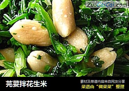 芫荽拌花生米