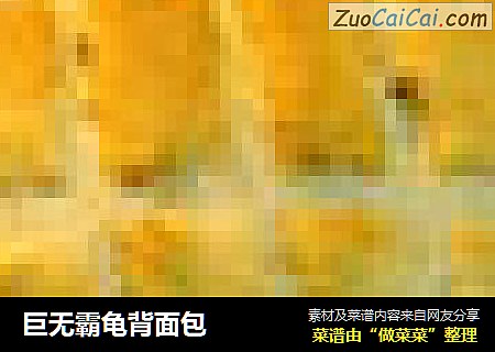 巨无霸龟背面包