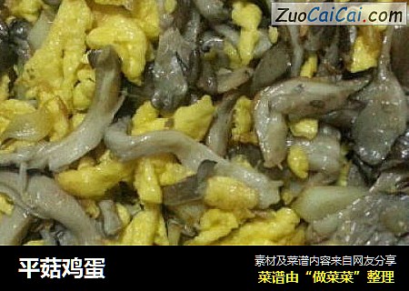 平菇鸡蛋