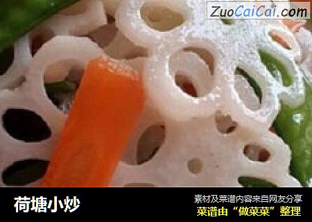 荷塘小炒