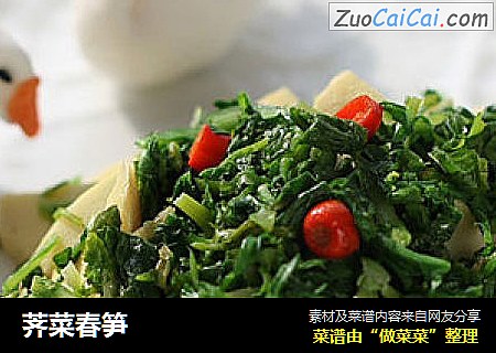 荠菜春笋