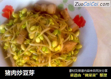 猪肉炒豆芽