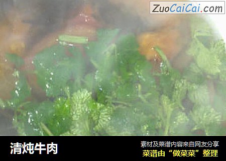 清炖牛肉