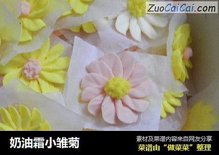 奶油霜小雏菊